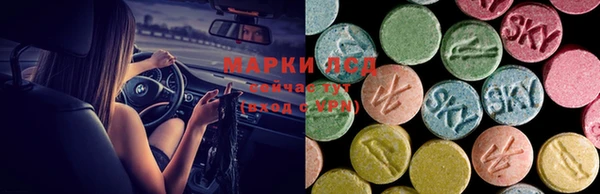 apvp Богданович