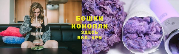 дмт Богородск