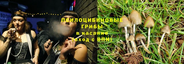 дмт Богородск
