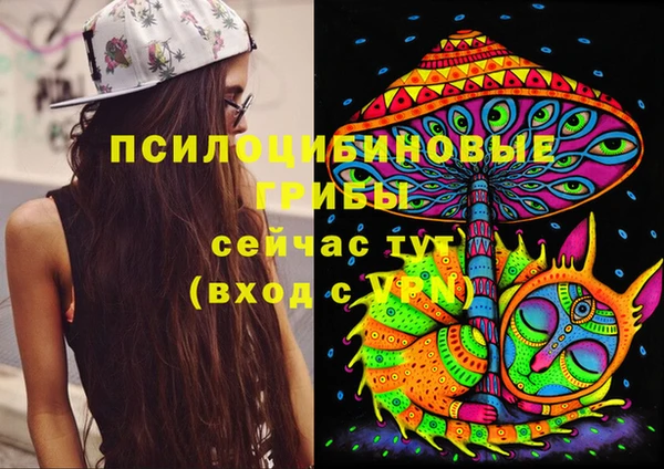 apvp Богданович