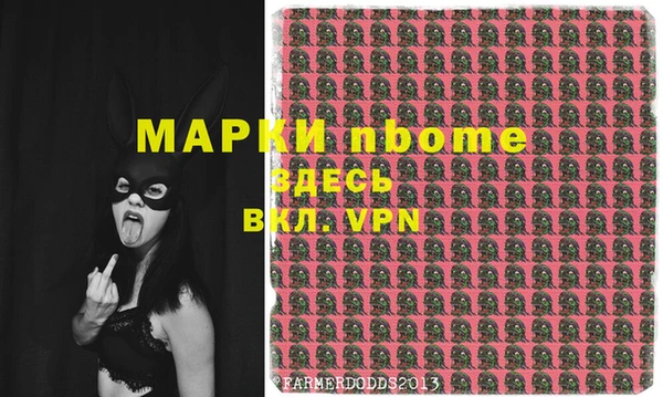 дмт Богородск