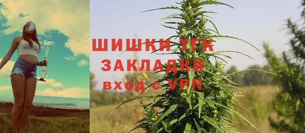 apvp Богданович