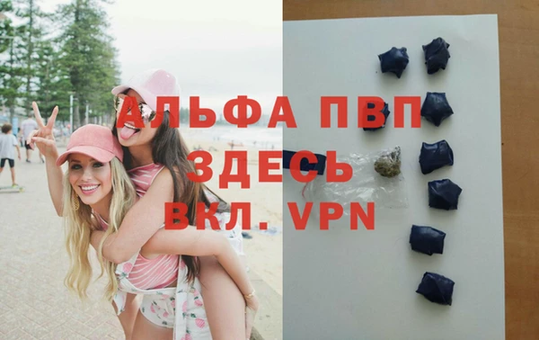 apvp Богданович